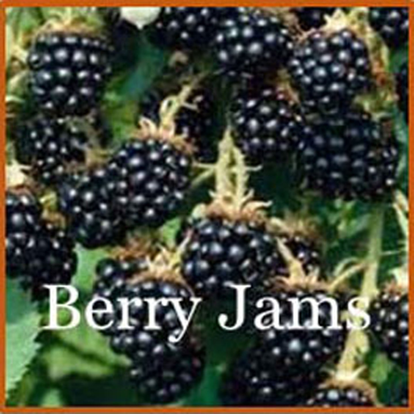 Berry Jam - Ridgedale Orchard & Vineyard
