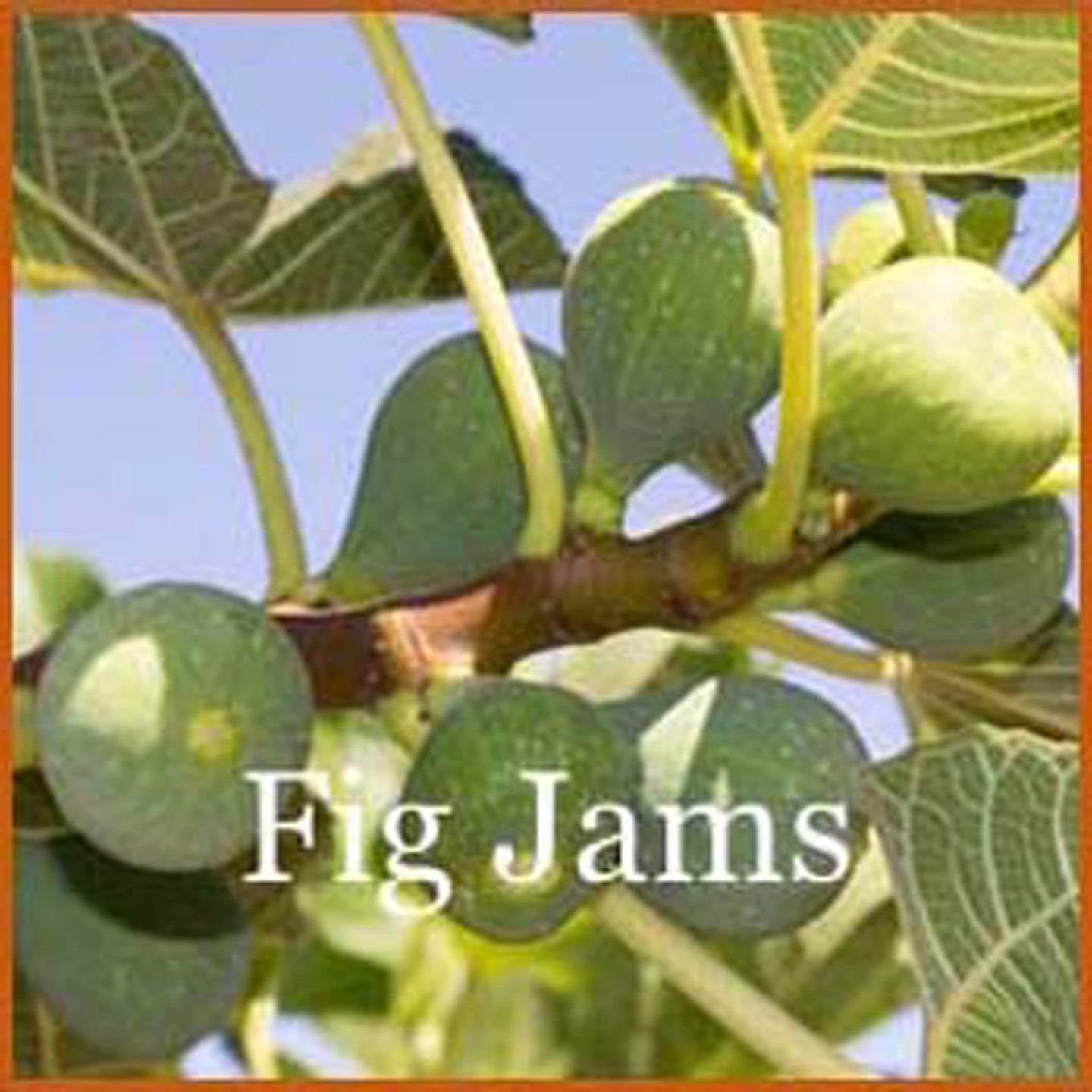 Fig Jam - Ridgedale Orchard & Vineyard