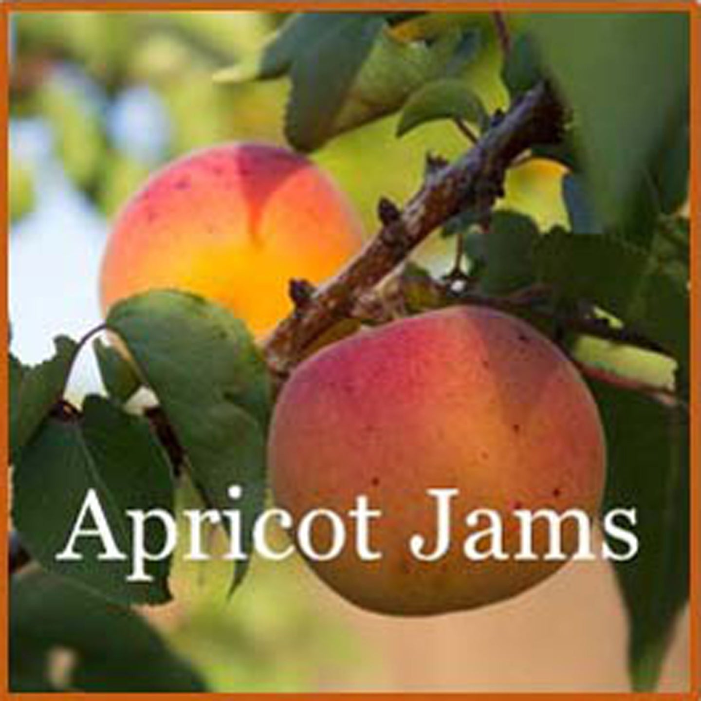 Apricot Jam - Ridgedale Orchard & Vineyard
