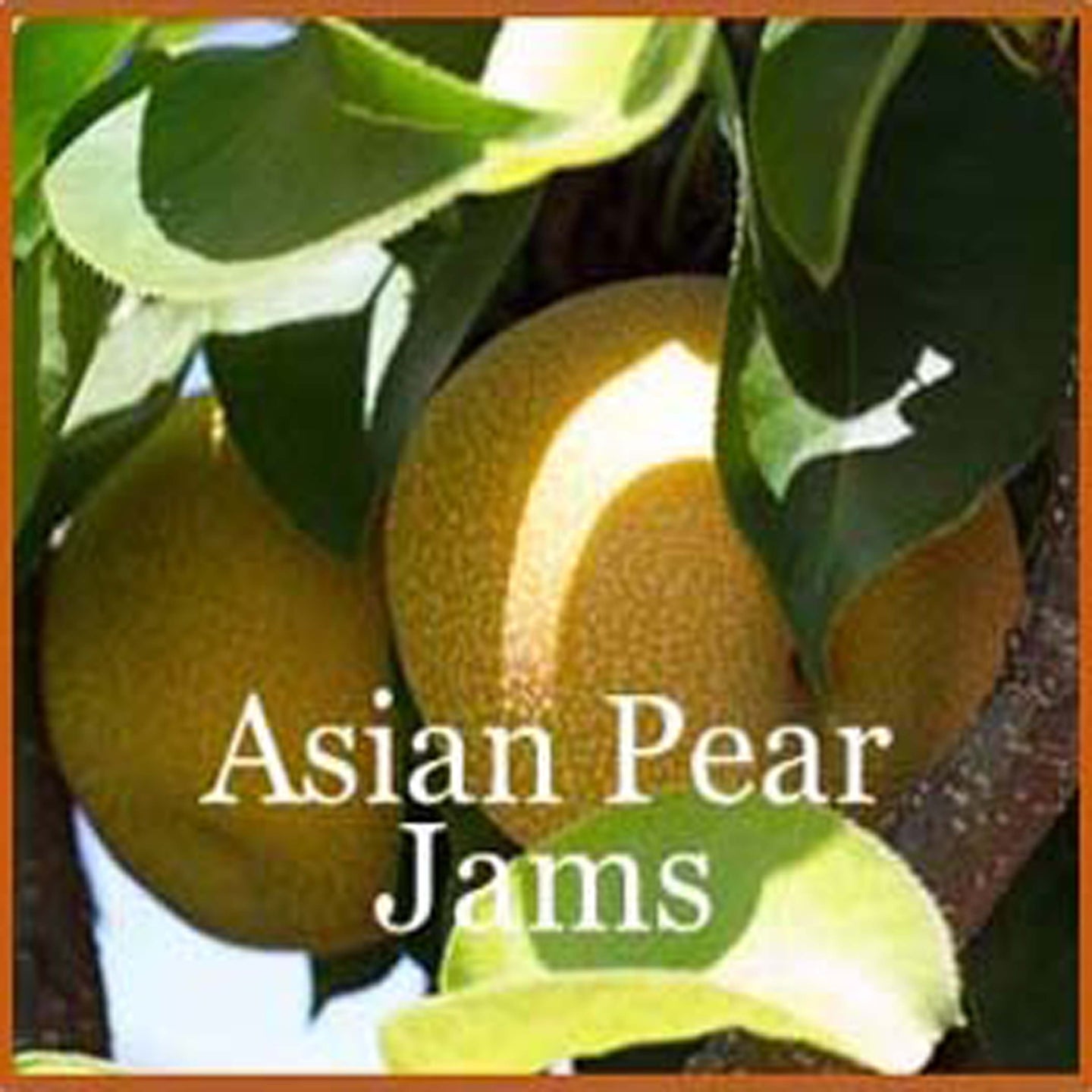 Asian Pear Jam - Ridgedale Orchard & Vineyard